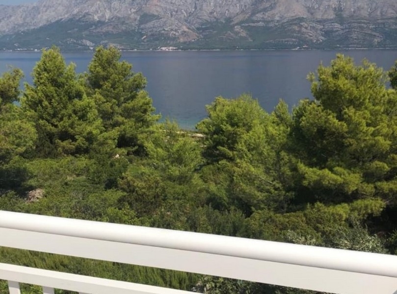 Vue au-dessus des pins sur le détroit et les montagnes