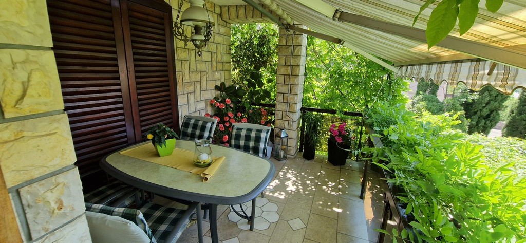 Terrasse avec table à manger sous des sarments de vigne