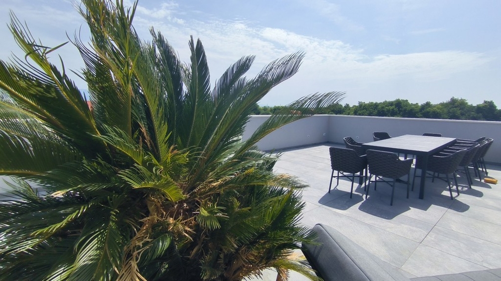 Toit-terrasse avec salon de jardin et plantation de palmiers