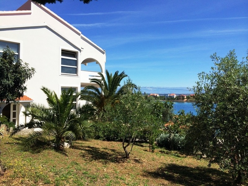 Villa en bord de mer sur l'île d'Ugljan à vendre - Panorama Scouting Croatie.