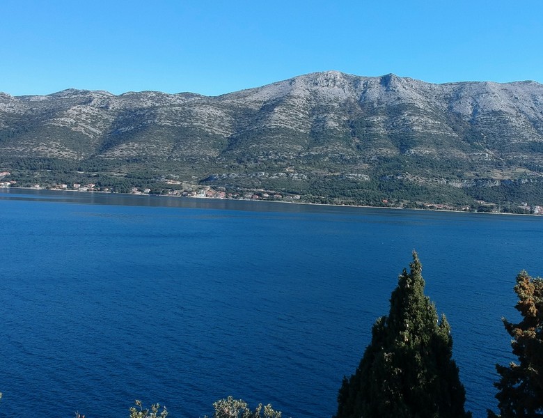 Cyprès devant le détroit avec les montagnes derrière