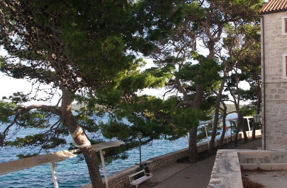 Pins sur la promenade du bord de mer avec banc et lanterne
