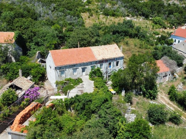 Ancienne maison en pierre avec toit de tuiles au milieu d'une verdure dense