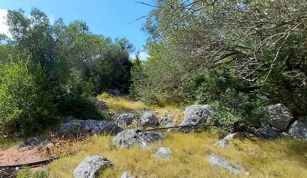 Beau terrain calme avec maison de plain-pied en bord de mer