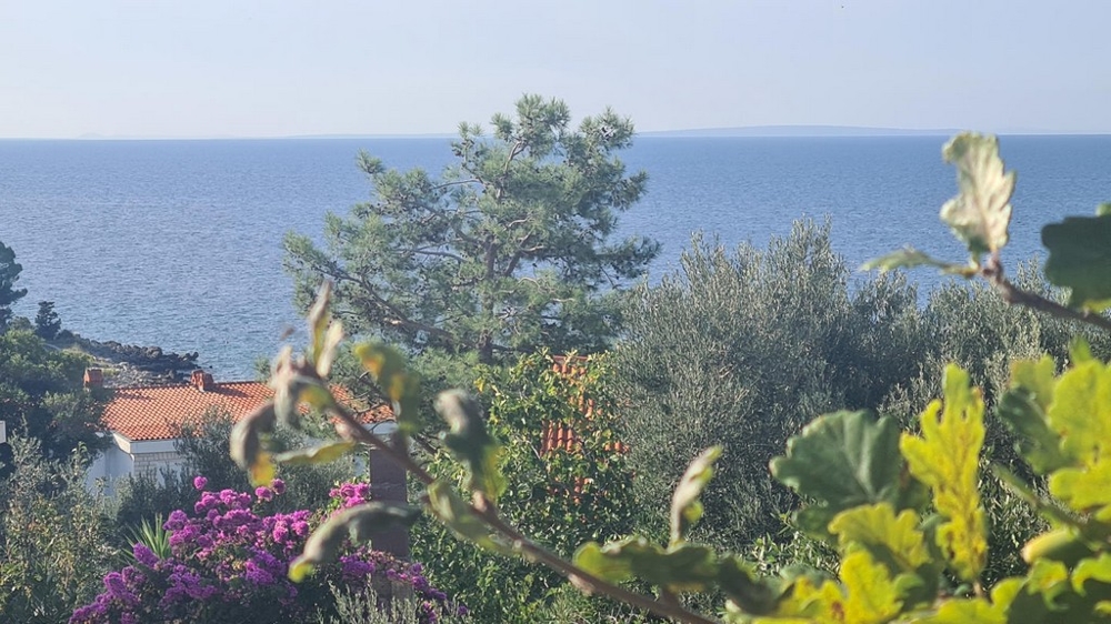Immeuble de rapport avec vue mer - Panorama Scouting - H2810