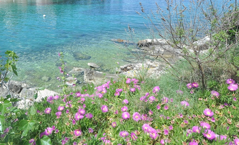 Paysage idyllique du bord de mer près d'une maison en Croatie, parfait pour acheter.