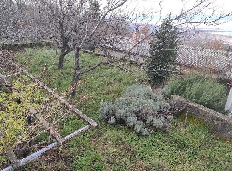 Spacieux jardin avec vue sur la mer - biens immobiliers Croatie