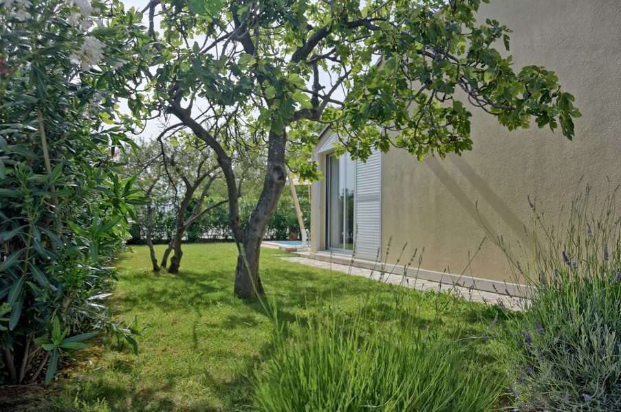 Jardin entretenu d'une maison en vente en Istrie en bord de mer.