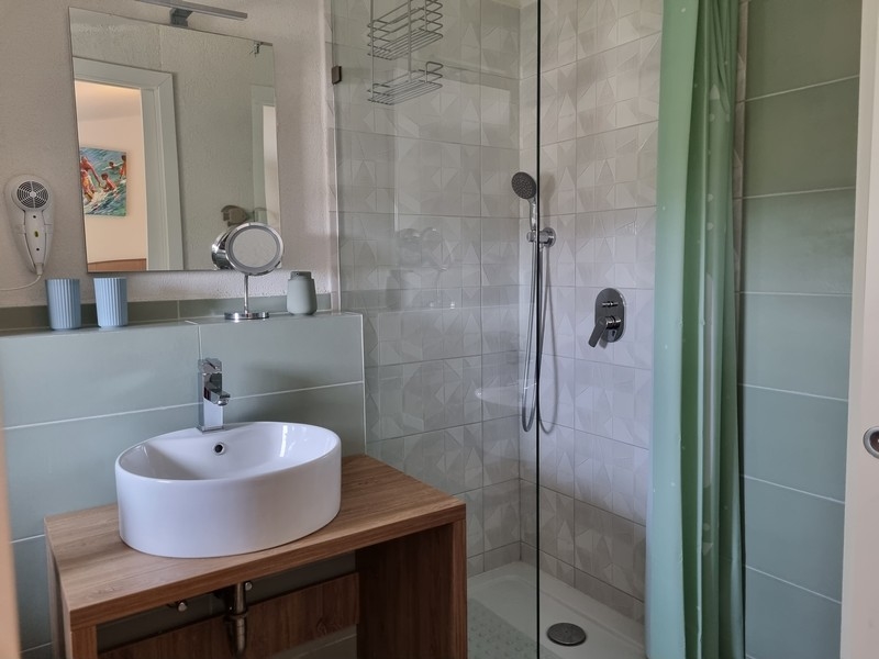Salle de bains moderne avec douche et meuble-lavabo en bois