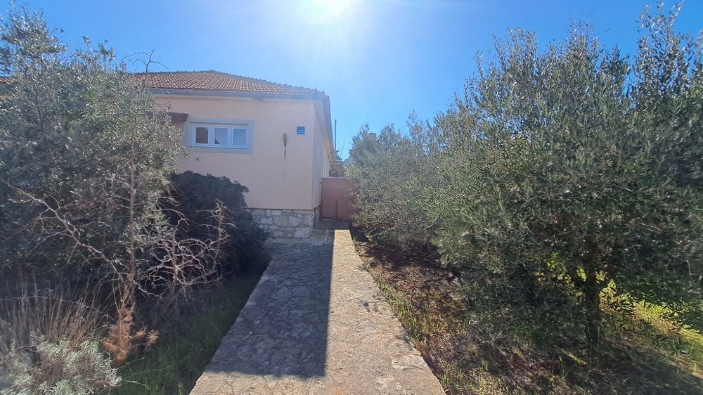 Chemin menant à l'entrée d'une maison avec oliviers sur le côté, bien en bord de mer en Croatie