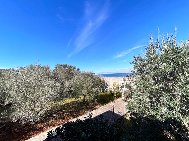 Allée de jardin ensoleillée avec vue mer, partie d'un bien en bord de mer en Croatie