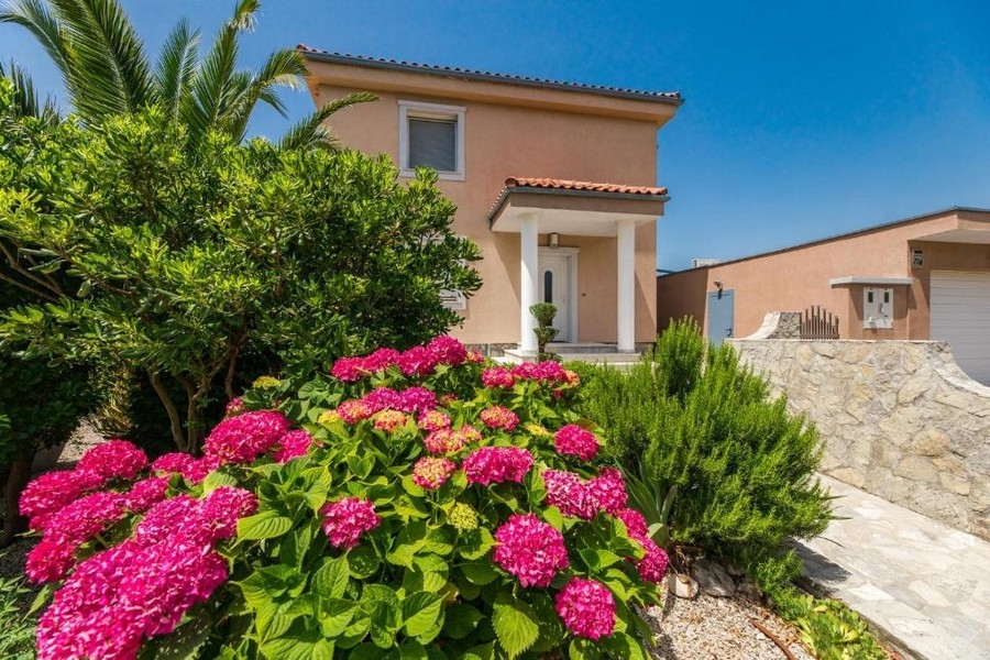 Vue du jardin d'un immeuble collectif en Croatie avec hortensias en fleurs et plantes méditerranéennes
