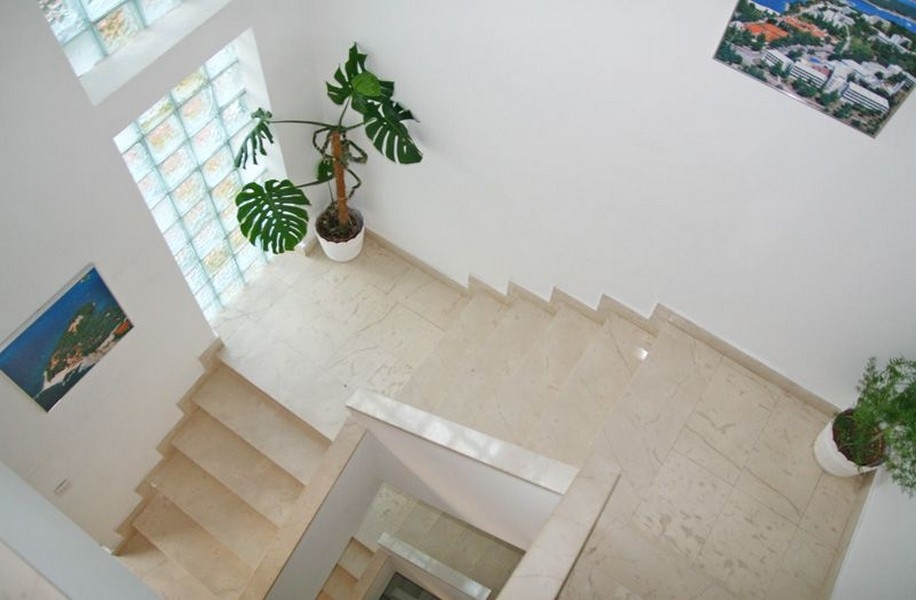 Une cage d'escalier avec des marches en marbre clair, de grandes surfaces vitrées en briques de verre, des plantes vertes dans des pots blancs et des tableaux accrochés aux murs.