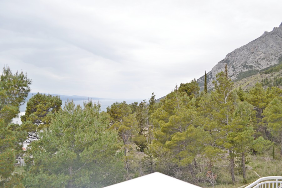 Vue depuis la terrasse sur les montagnes, la pinède et la mer.