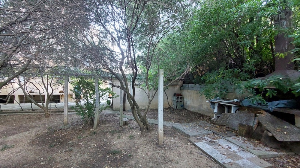 Espace jardin avec arbres et plantes dans une maison en Croatie