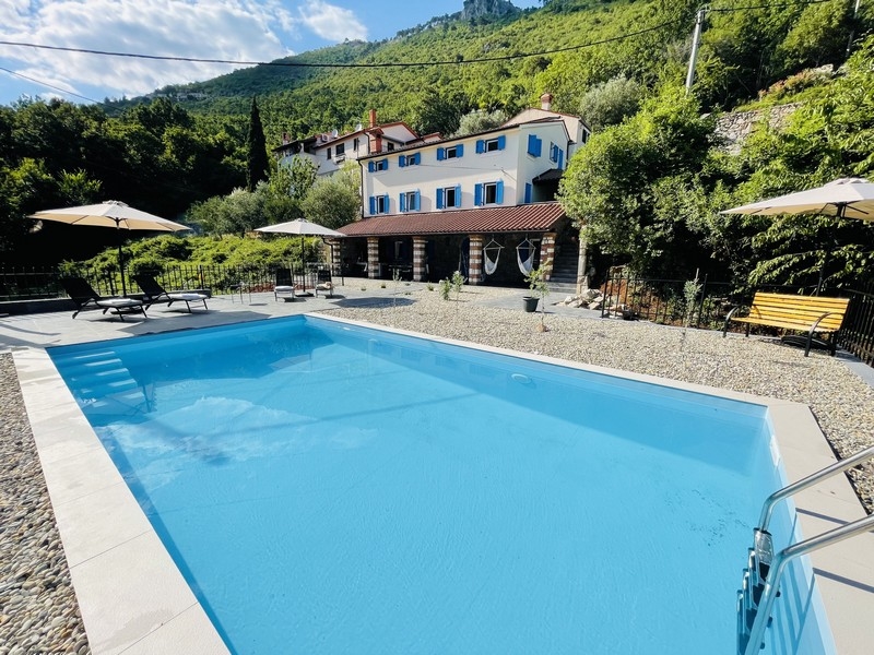 Vue extérieure de la villa avec piscine bleue, solarium et nature environnante