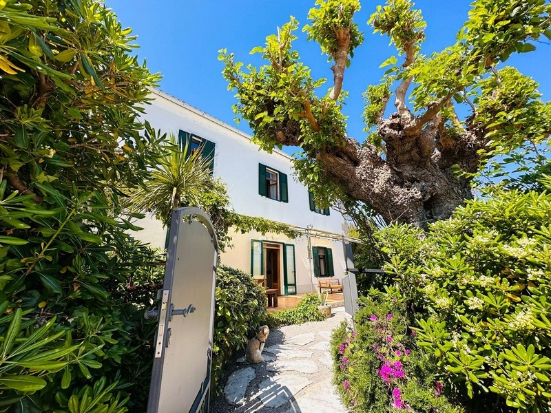 Maison en bord de mer à vendre sur l'île de Krk en Croatie - Panorama Scouting.