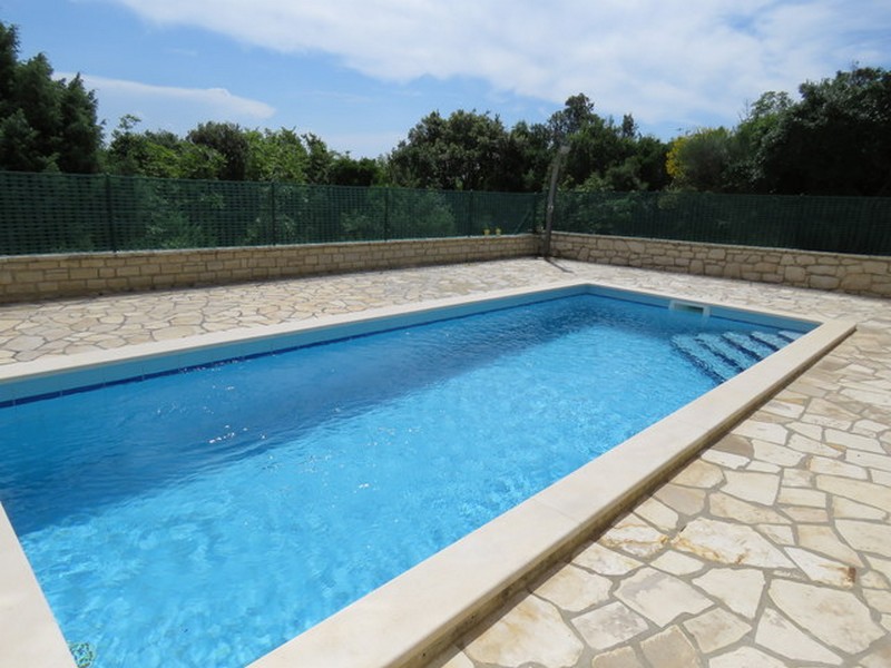 Piscine extérieure avec terrasse carrelée et fond verdoyant.