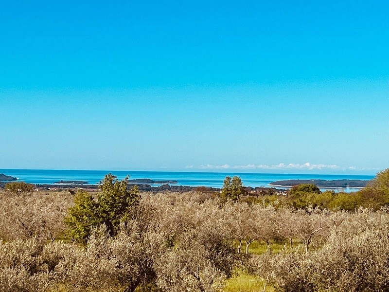Vue depuis le bien H3485 en Istrie - Panorama Scouting.