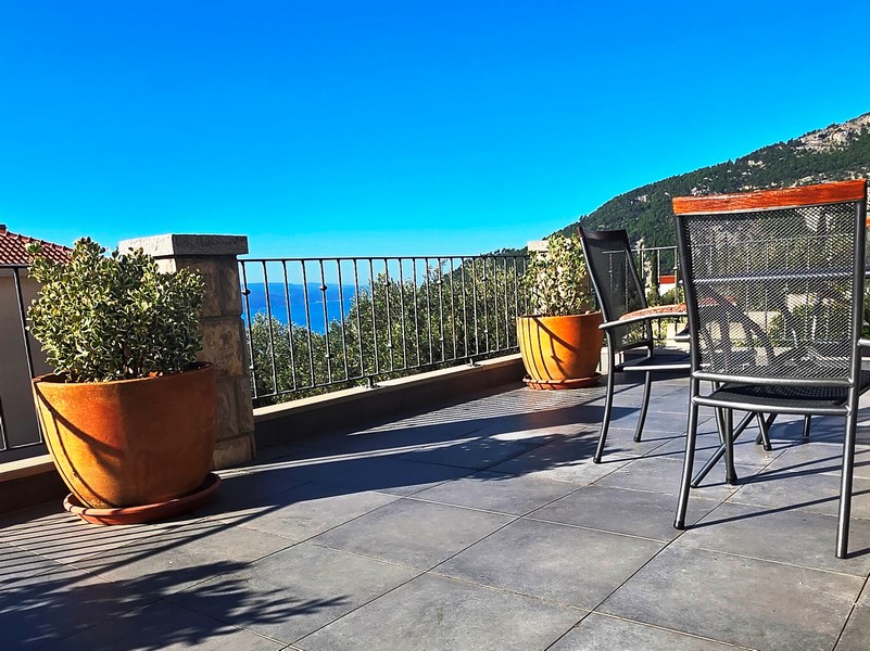 Terrasse ensoleillée avec plantes