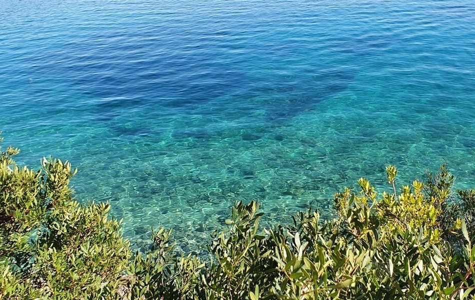 Bien directement au bord de l'eau en Croatie - Panorama Scouting H3608.