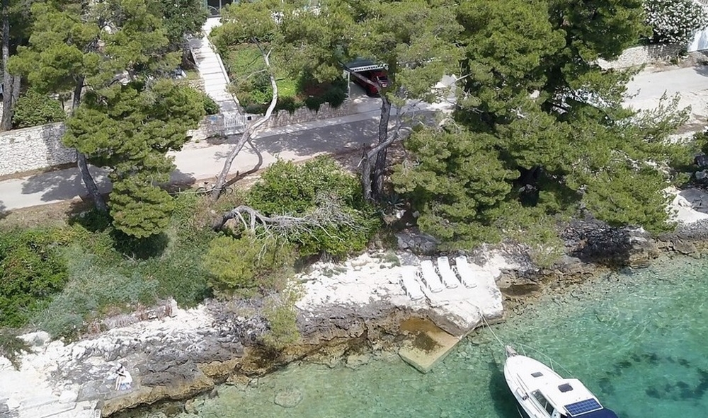 Vue aérienne de la rive avec pins et ponton d'amarrage