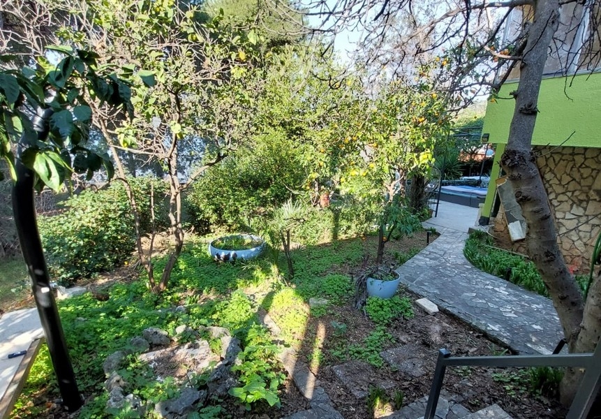 Jardin avec arbres fruitiers et chemin vers l'entrée de la maison