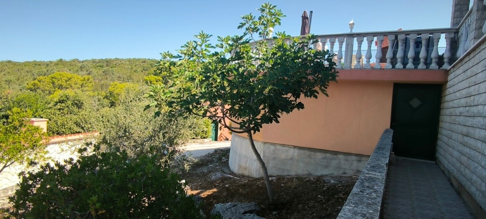 Jardin avec arbre et accès à la maison