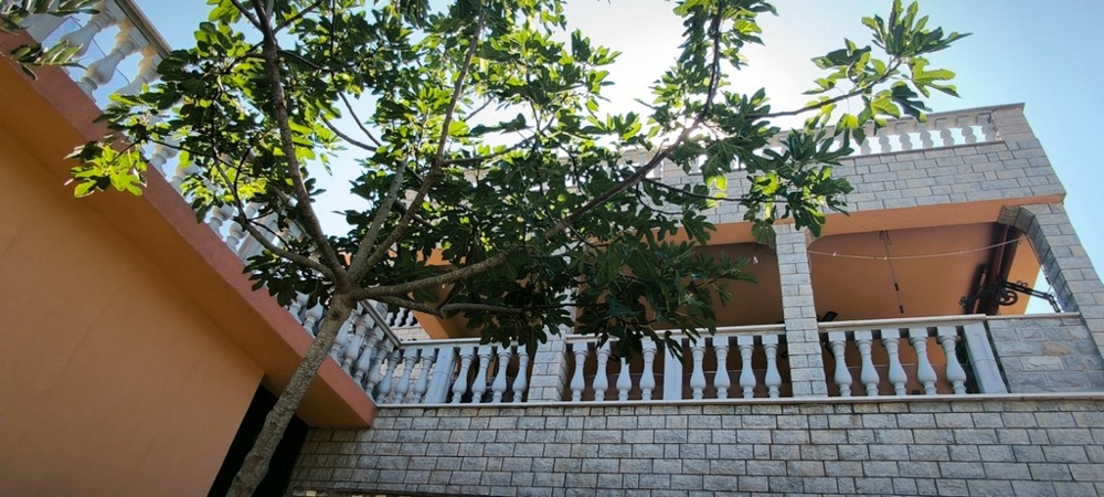 Façade de la maison avec balcon et arbre au premier plan