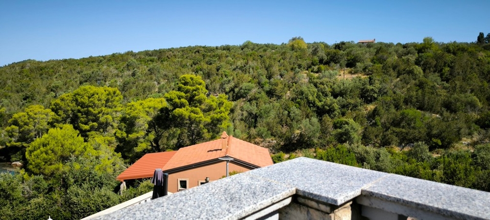 Vue sur les collines verdoyantes depuis la terrasse