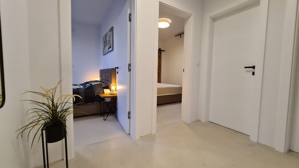 Couloir avec vue sur deux chambres et plante verte