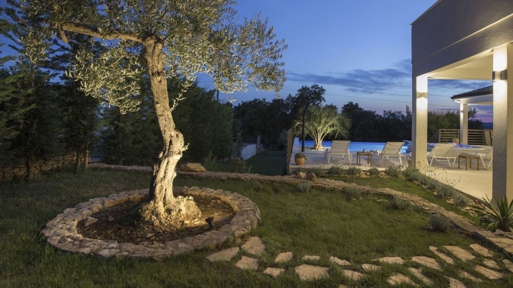 Jardin avec olivier éclairé et vue sur la piscine le soir