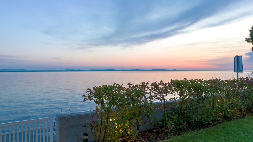 Coucher de soleil sur la mer derrière la haie en bord de rive