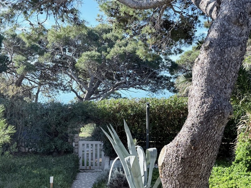 Vue sur l'environnement méditerranéen et la mer.