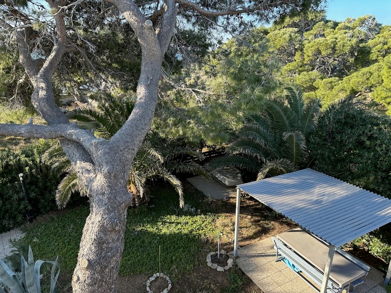 Jardin avec plantes méditerranéennes et coin salon ombragé à l'extérieur