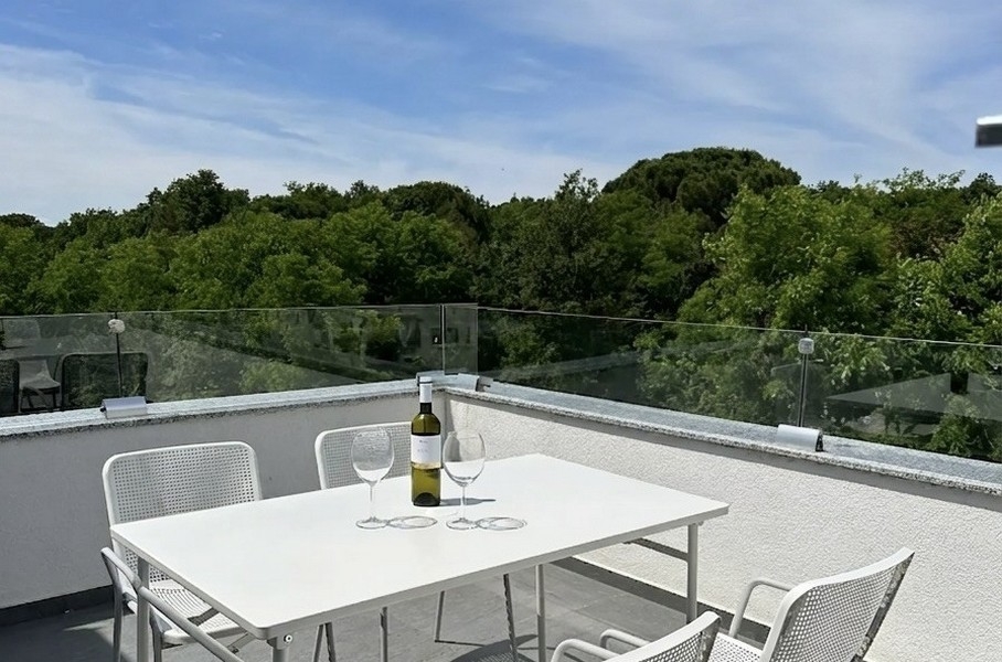 Toit-terrasse confortable avec vue sur la verdure.