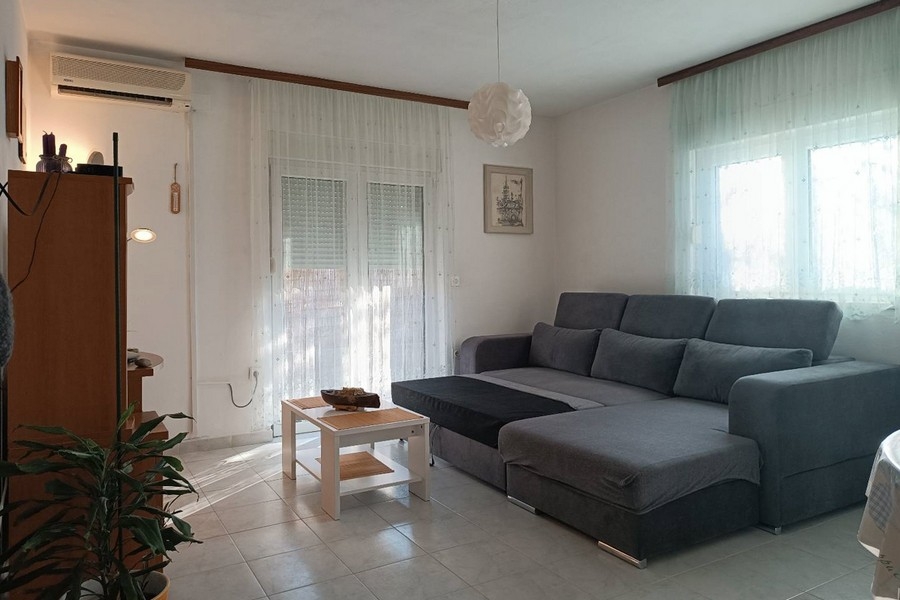 Espace extérieur avec jardin, plantations et accès à la terrasse