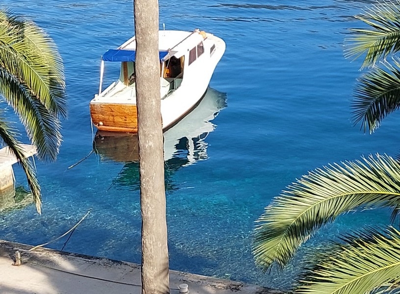 Bateau en bois dans l'eau claire parmi des palmes