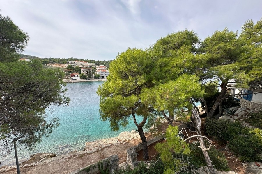 Littoral avec pins et eau turquoise limpide