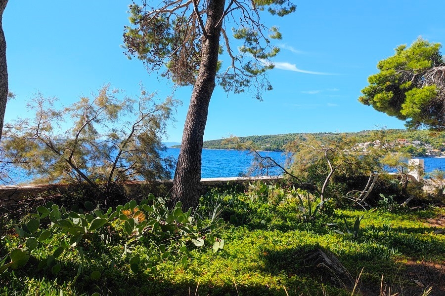 Terrain directement au bord de la mer avec végétation méditerranéenne et vue