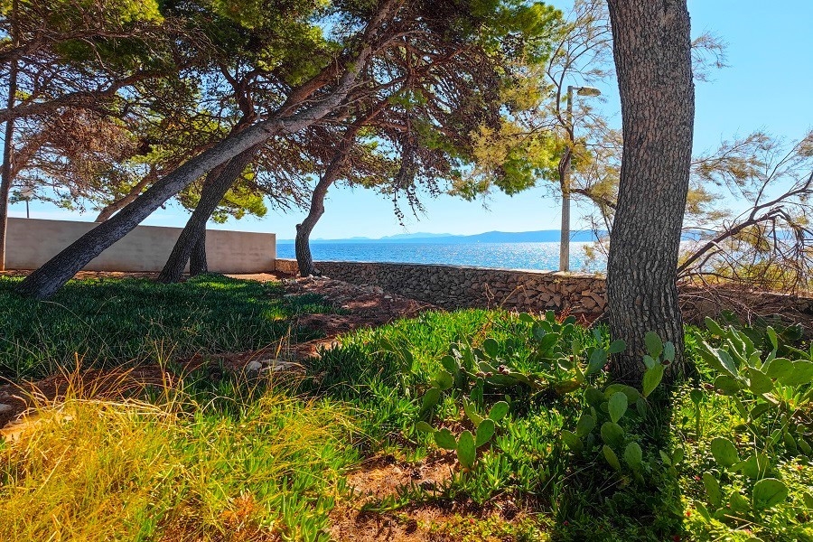 Situation côtière avec plage rocheuse et vue sur la baie