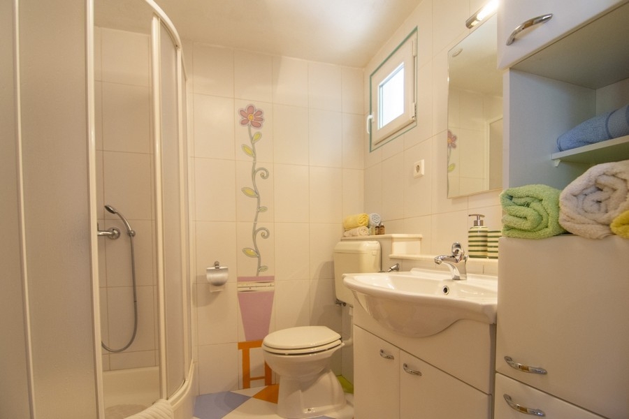 Salle de bains avec douche et lumière du jour