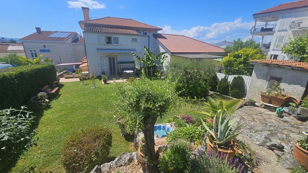 Jardin avec pelouse et olivier devant la maison au toit de tuiles