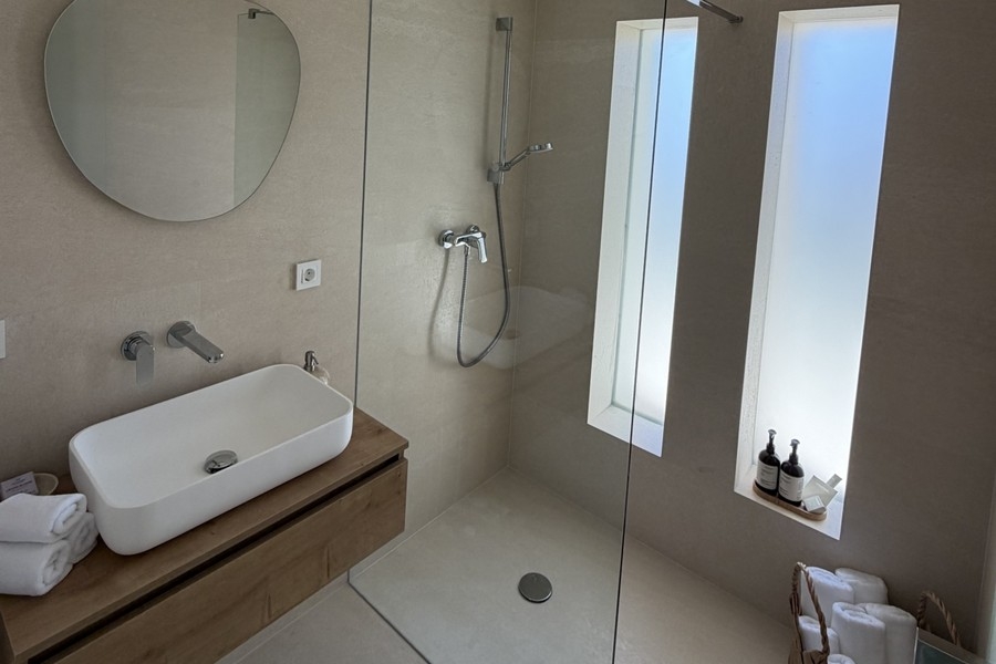 Salle de bains avec lavabo et douche