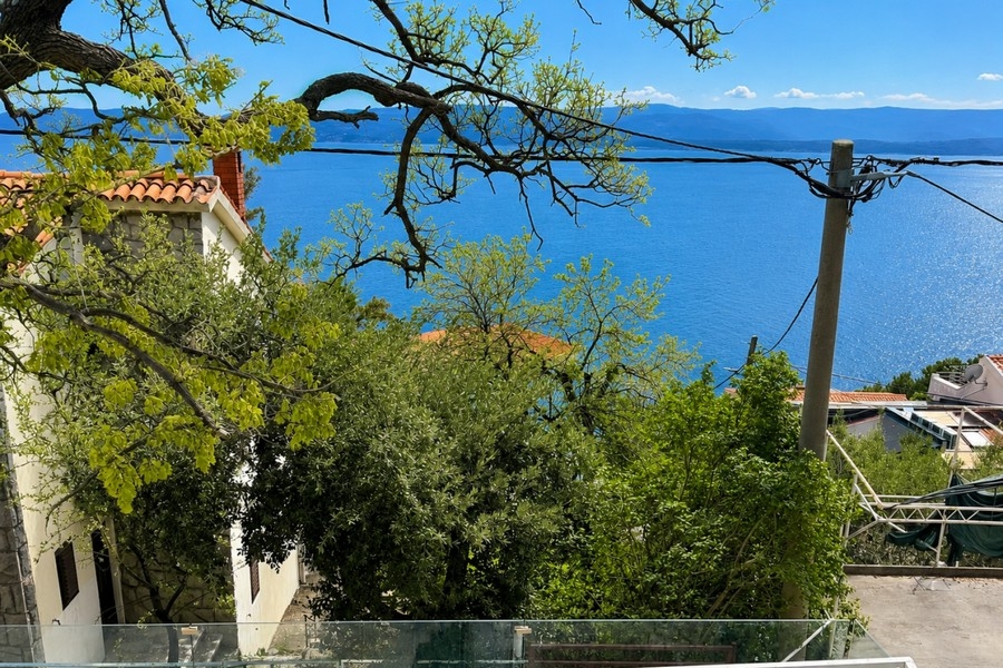 Vue sur la mer à travers les arbres en Croatie