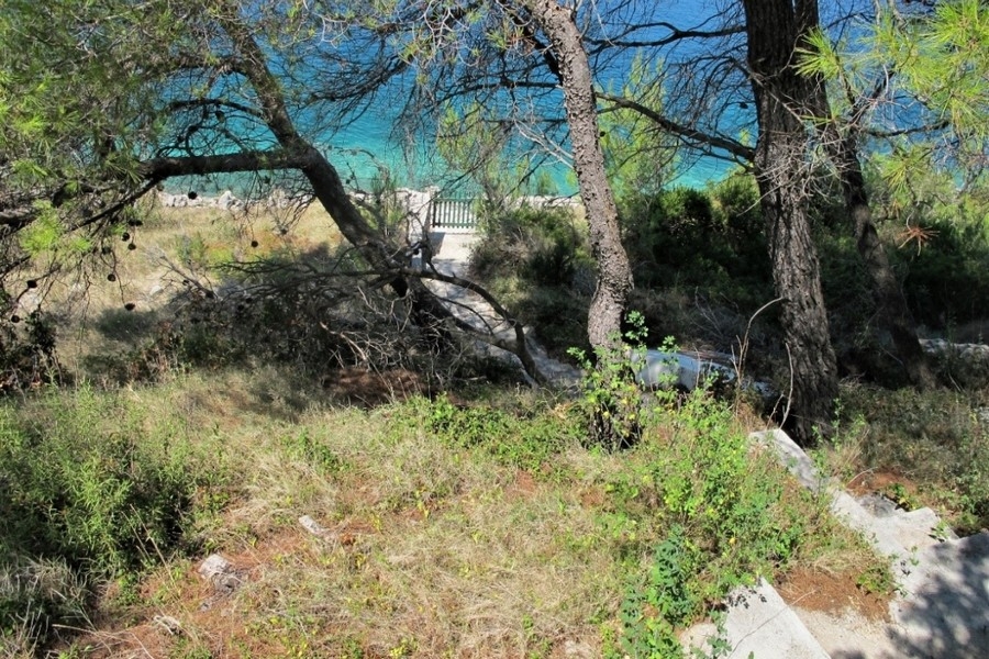 Terrain avec pins et vue mer en Croatie