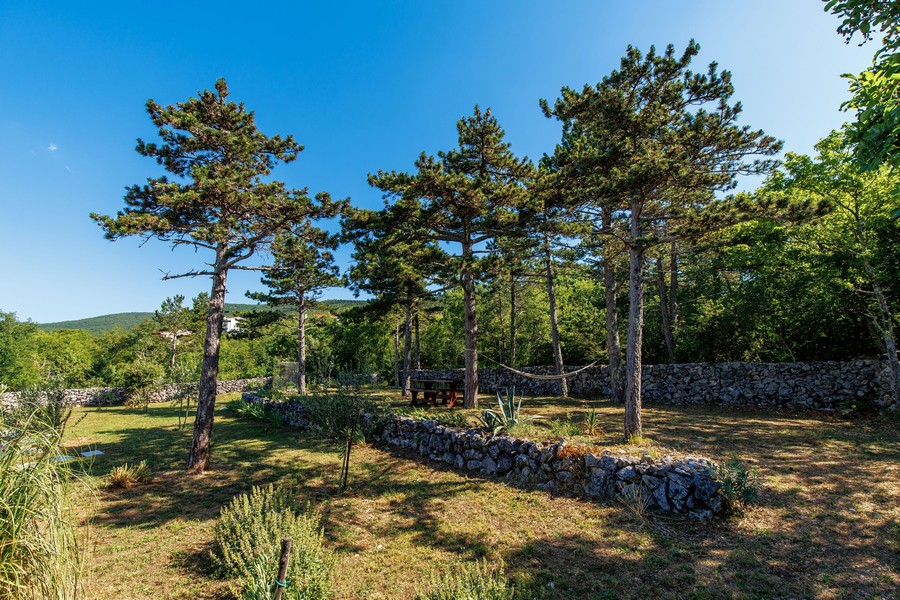 Grand terrain avec pins en Croatie