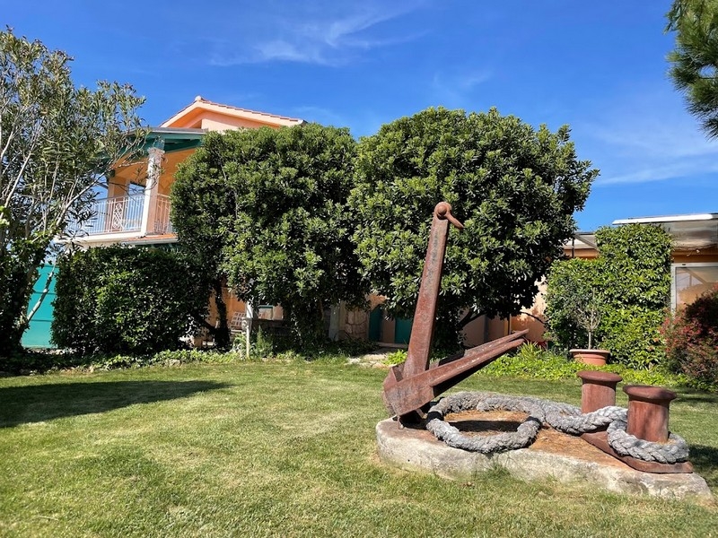 Jardin soigné avec arbre près de la maison