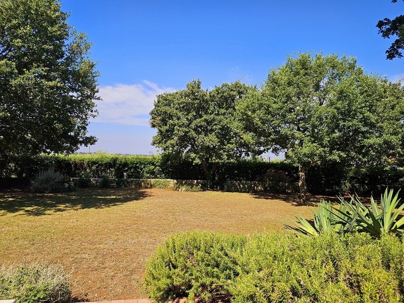 Vaste jardin avec haie et beaucoup de verdure