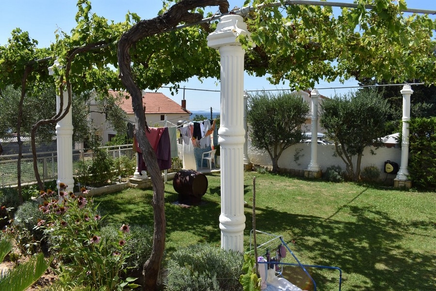 Pergola avec vigne dans le jardin